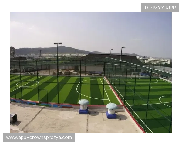 人工草场与天然草场在足球规则上有哪些细节差异？